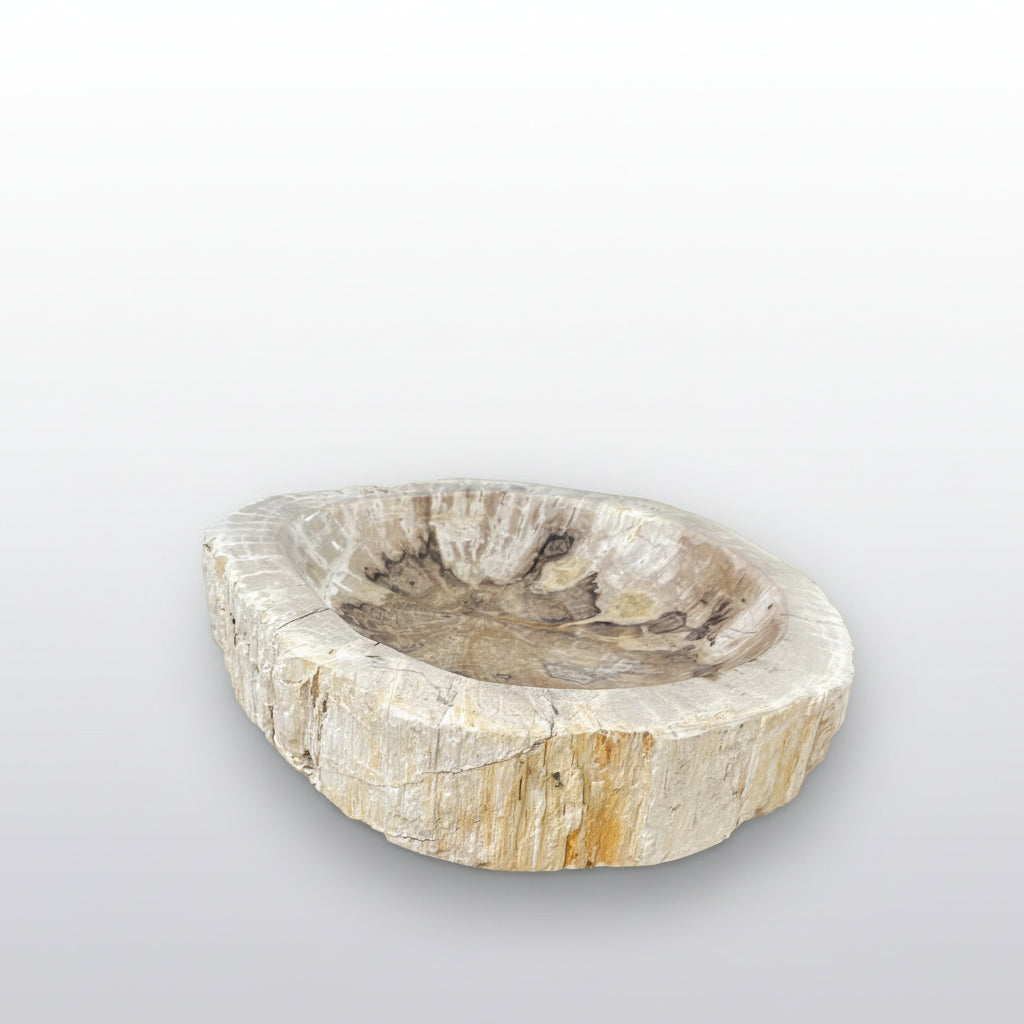 A sculptural petrified wood ashtray featuring organic form, natural grain, and beautifully varied neutral tones.