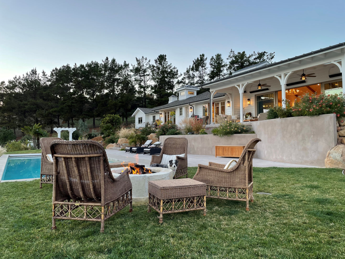 August Rattan Lounge Chair, by Belgian Pearls