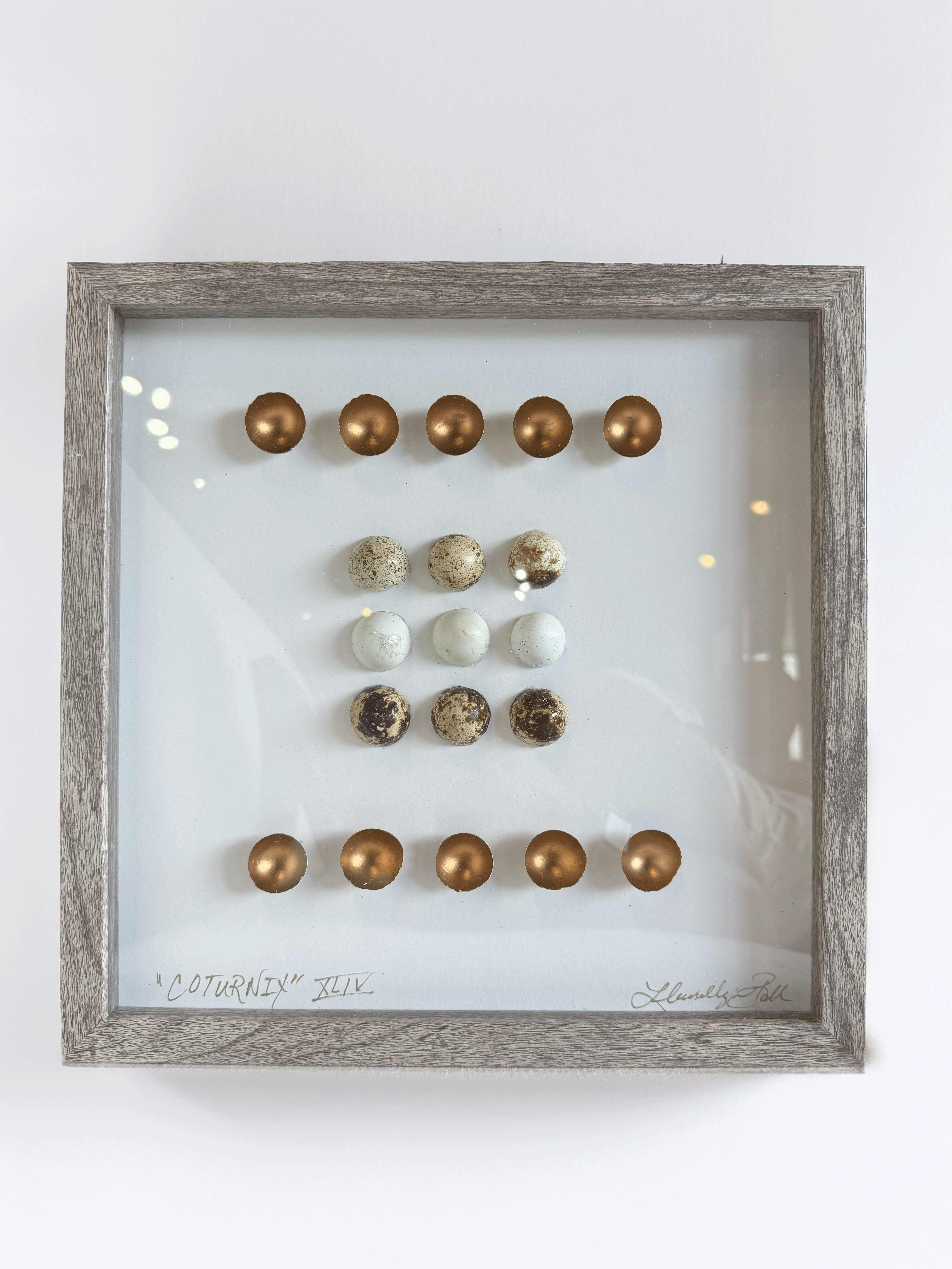 Pair of Quail Egg Framed Art