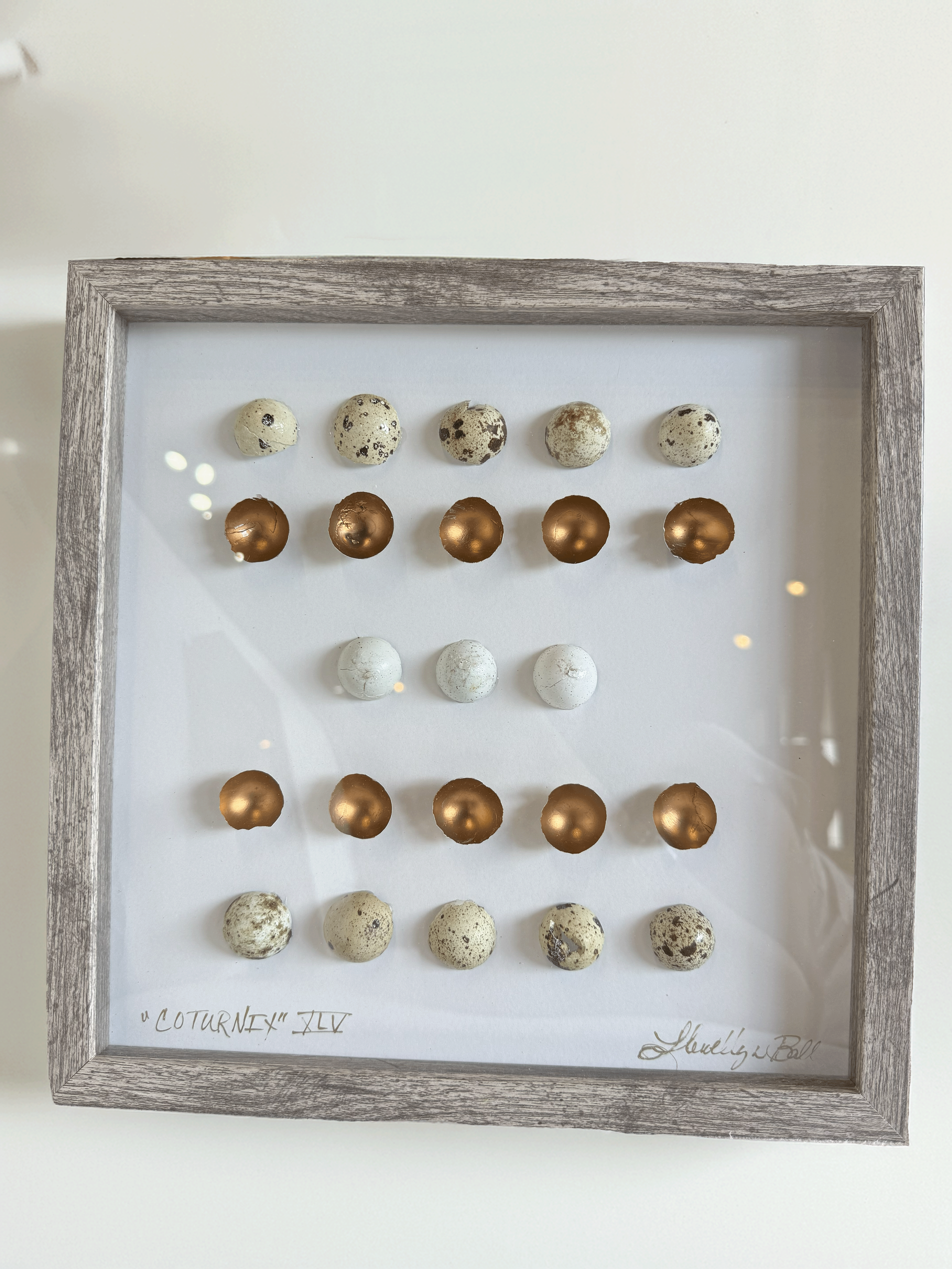 Pair of Quail Egg Framed Art