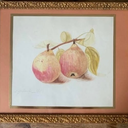 Framed Set of 5 Pencil and Watercolor Tree Fruit and Berries