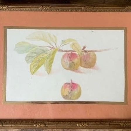 Framed Set of 5 Pencil and Watercolor Tree Fruit and Berries