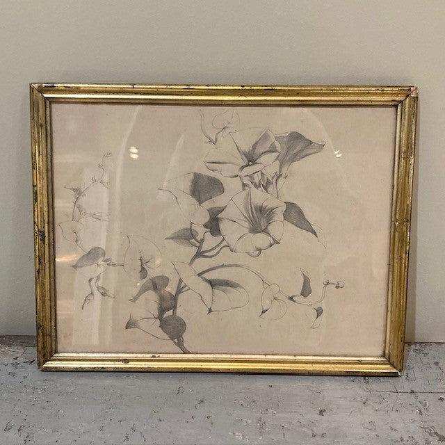 6 Framed Drawings - 2 Water Color | 4 Pencil