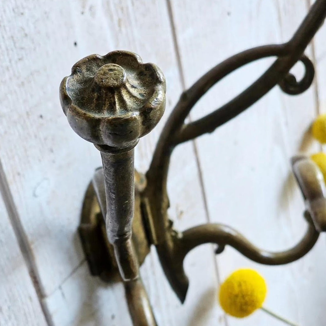 Bronze Double Coat Hooks