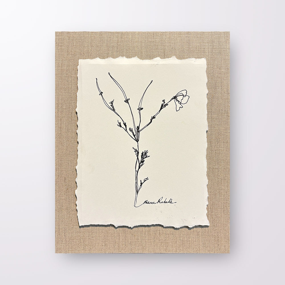 France Ruhnke - Black and White Flower Line Drawings