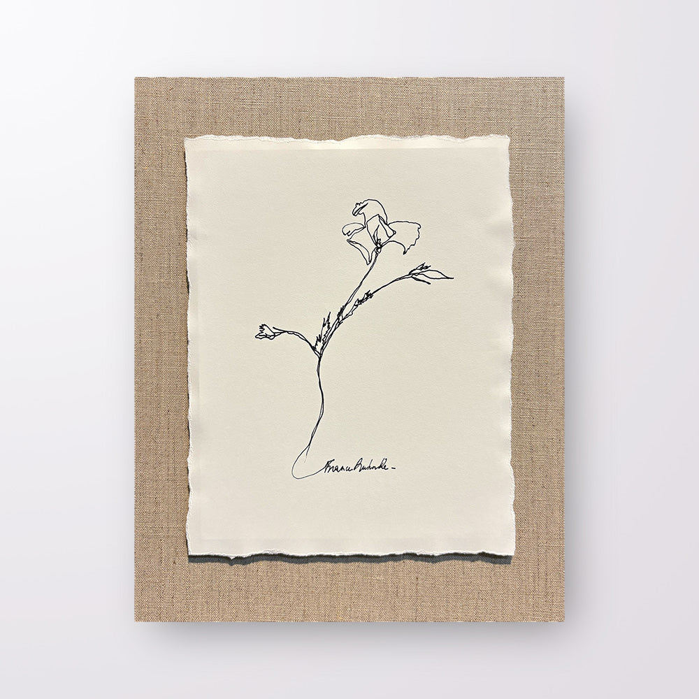 France Ruhnke - Black and White Flower Line Drawings