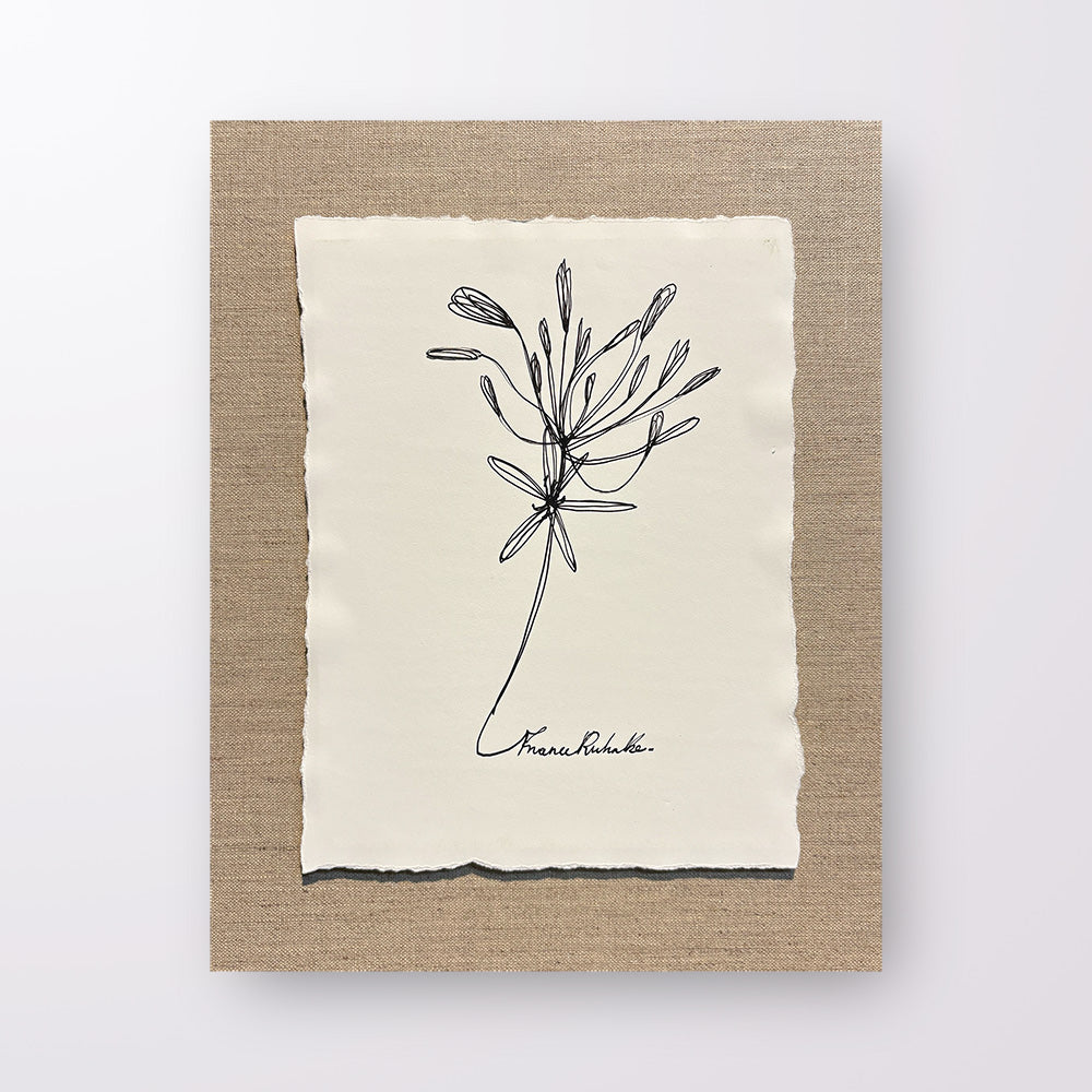 France Ruhnke - Black and White Flower Line Drawings