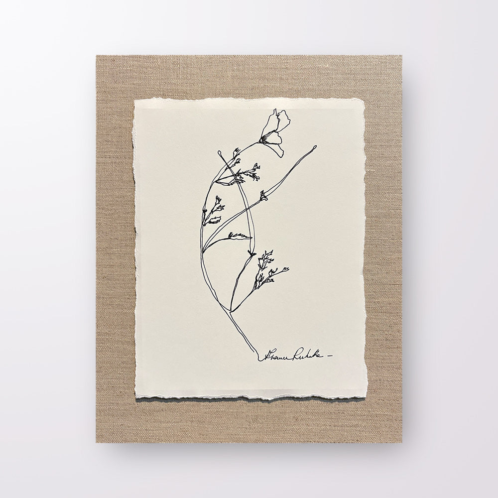 France Ruhnke - Black and White Flower Line Drawings