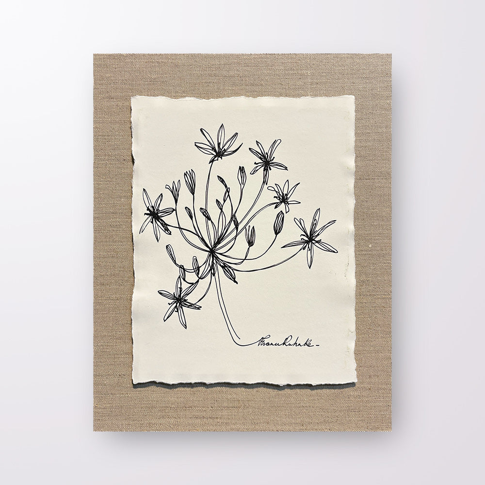 France Ruhnke - Black and White Flower Line Drawings