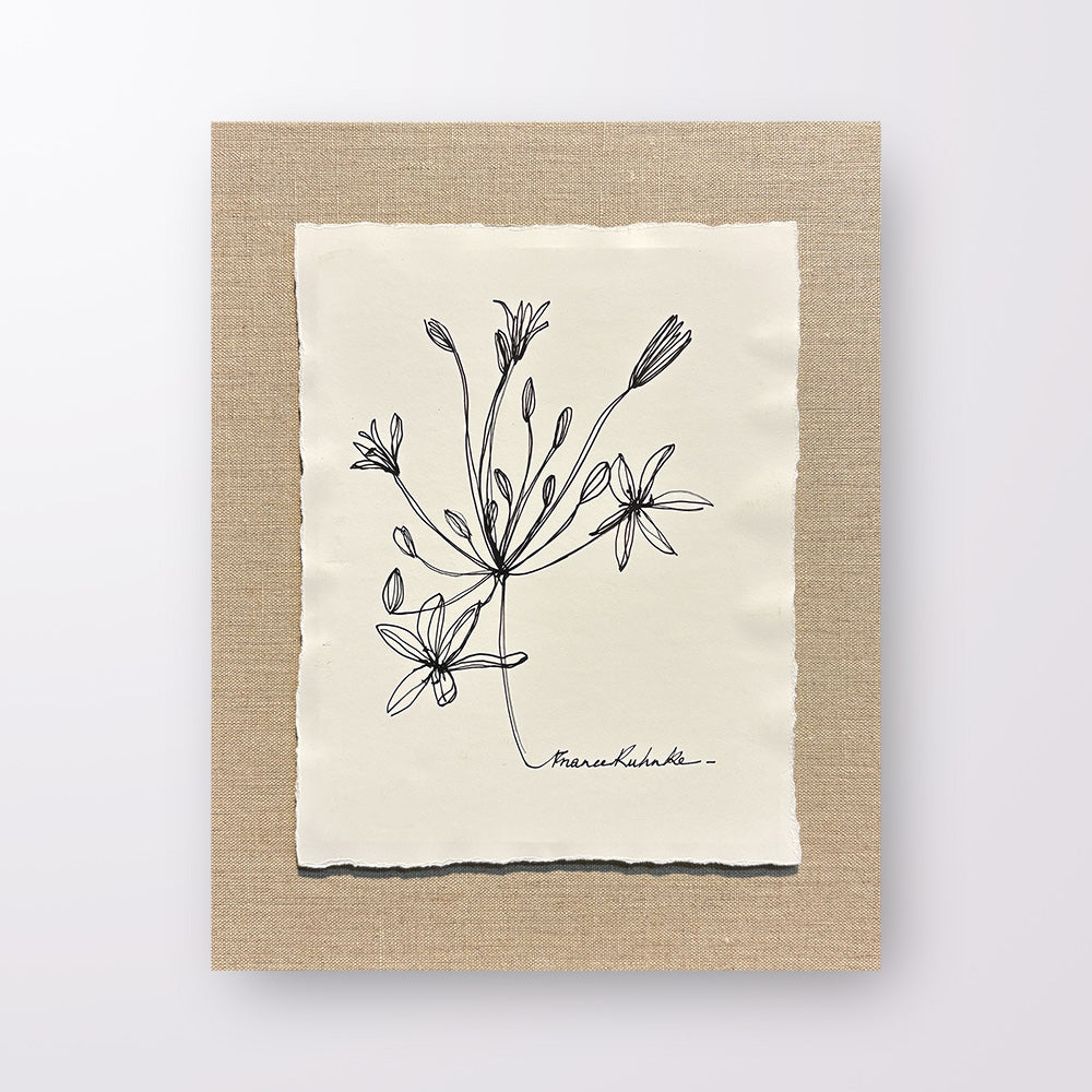 France Ruhnke - Black and White Flower Line Drawings