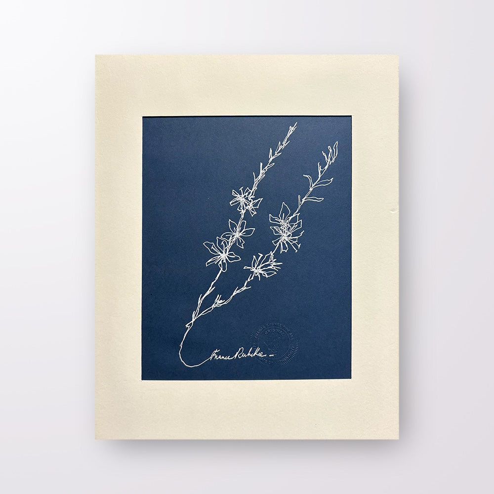 France Ruhnke - Black and White Flower Line Drawings