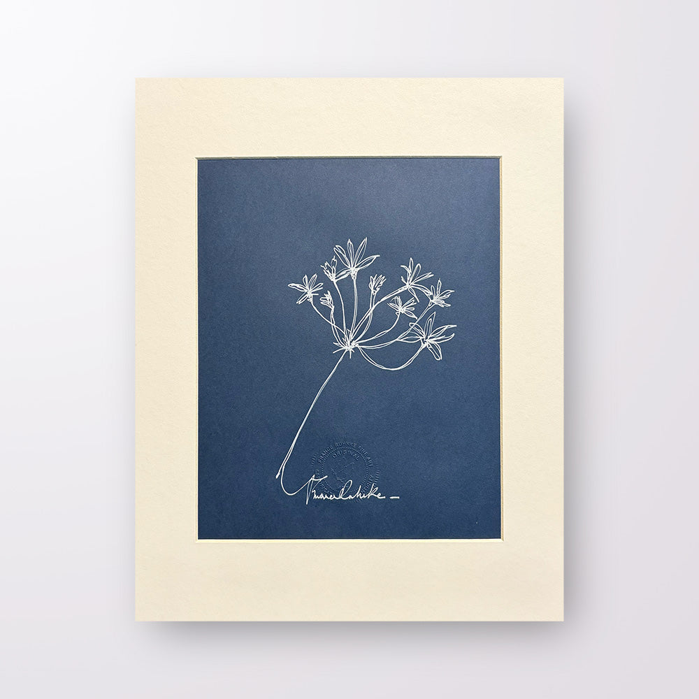 France Ruhnke - Black and White Flower Line Drawings