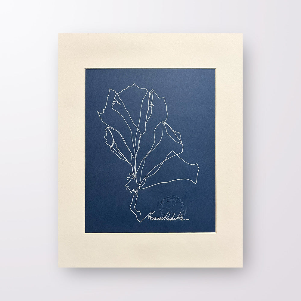 France Ruhnke - Black and White Flower Line Drawings
