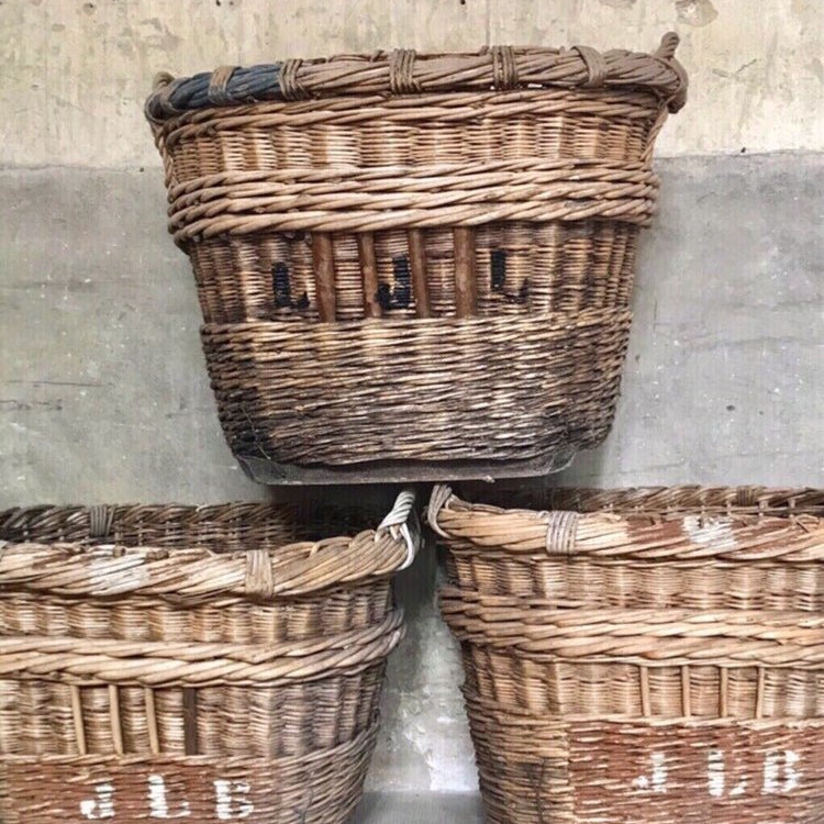 Large Champagne Harvest Basket