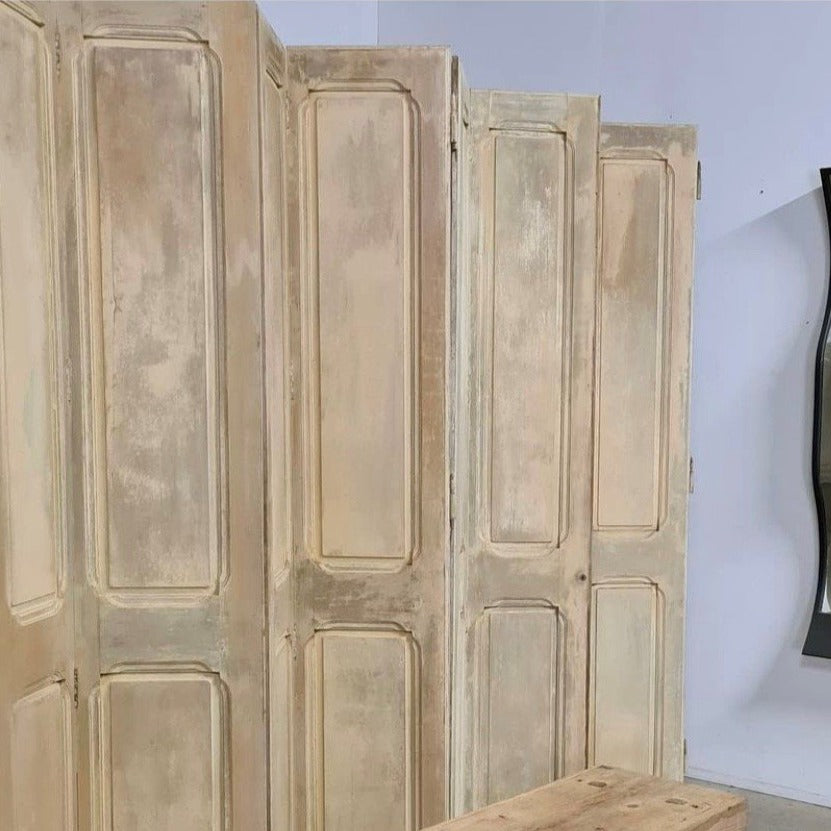 Pair of Door/Shutters