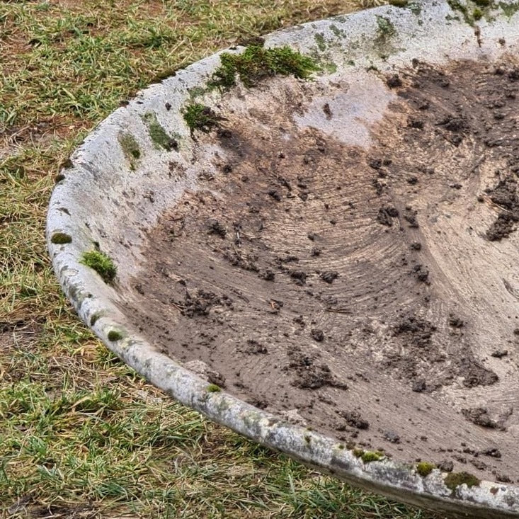 Willy Guhl Saucer Planter Without Stand