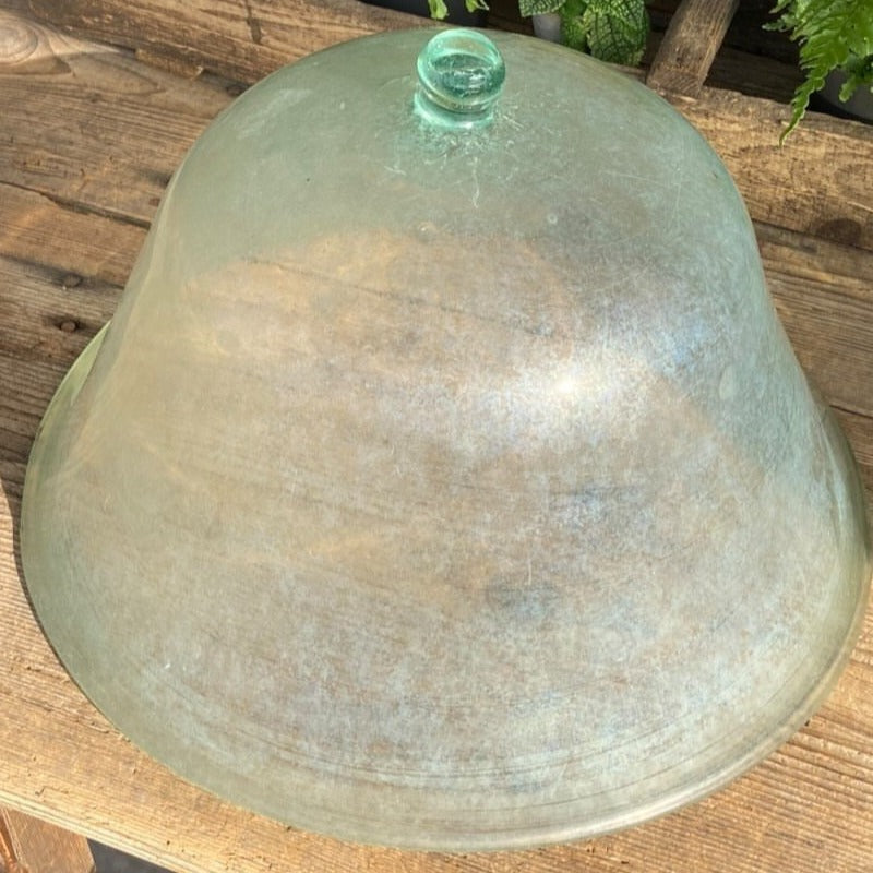 Glass Garden Cloche