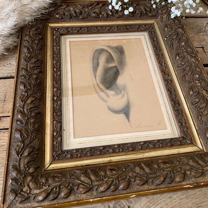 Framed Drawing of an Ear