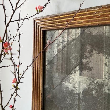 Louis XVI 18th Century Period Mercury Mirror with Foxing