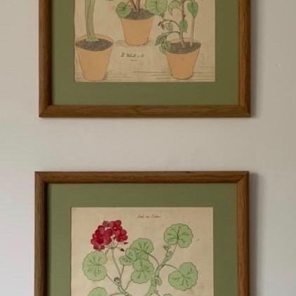 Pair of Framed Floral Watercolors