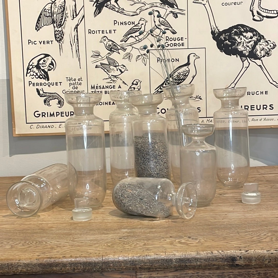 Calf Feeding Bottles