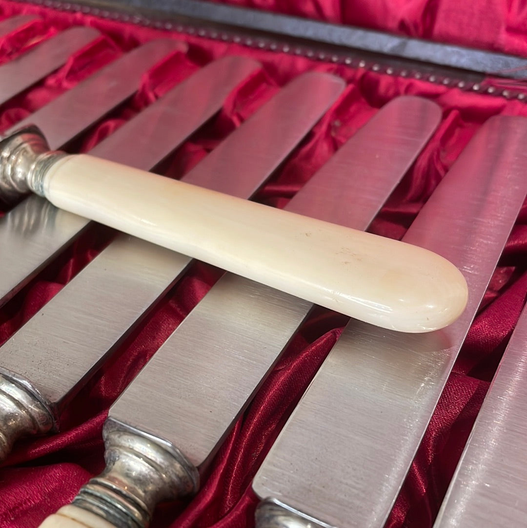 1900 Ivory handled Knives in original Box