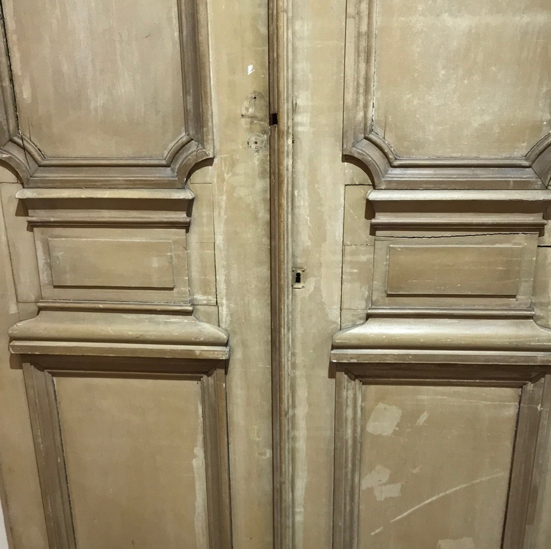 Pair of Paneled Doors