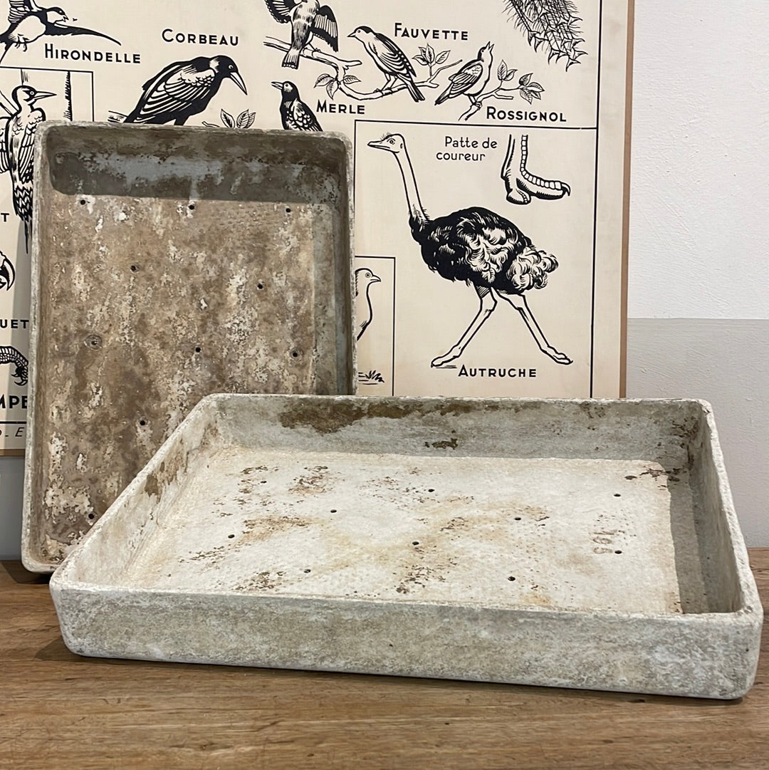 Willy Guhl Seeding Tray