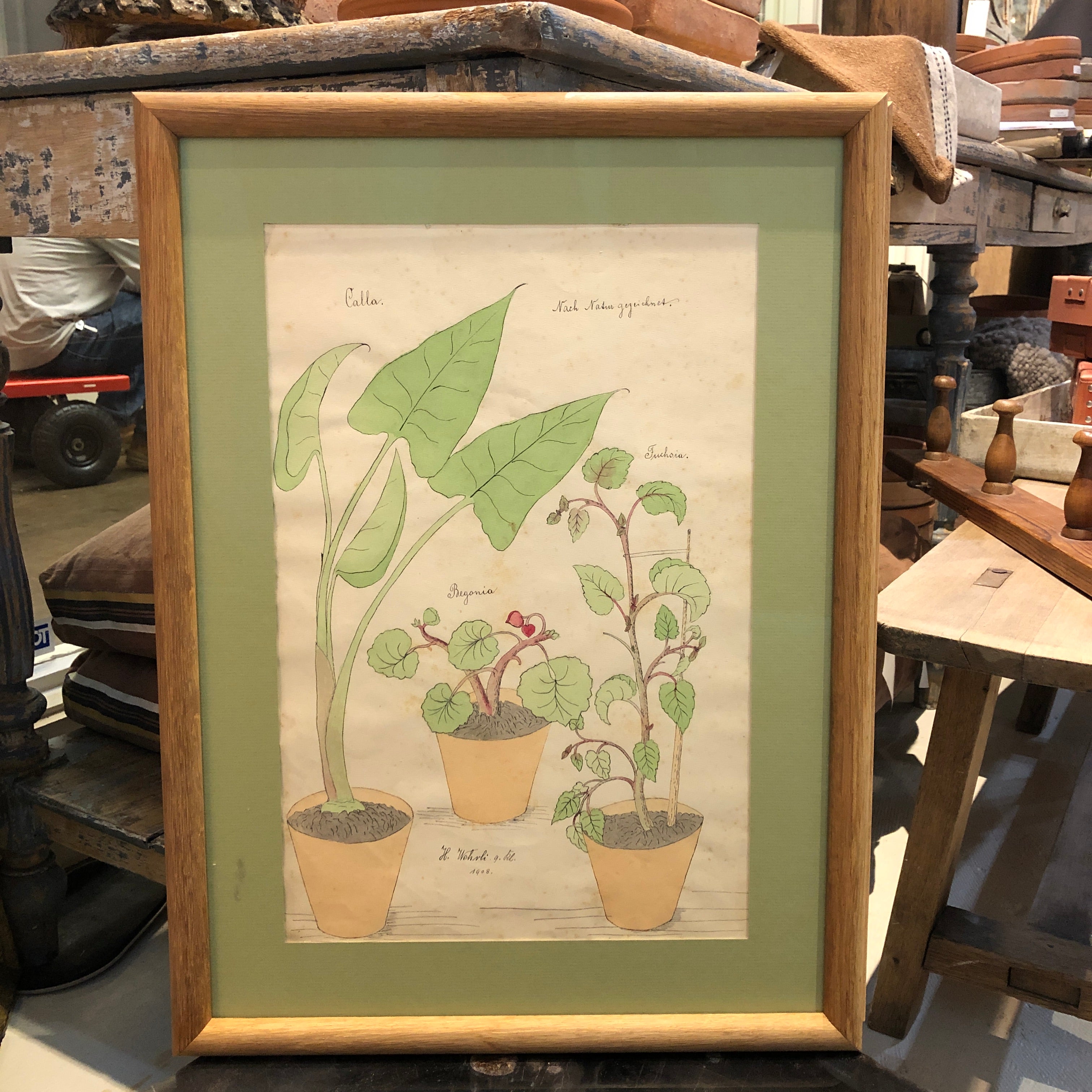 Pair of Framed Floral Watercolors