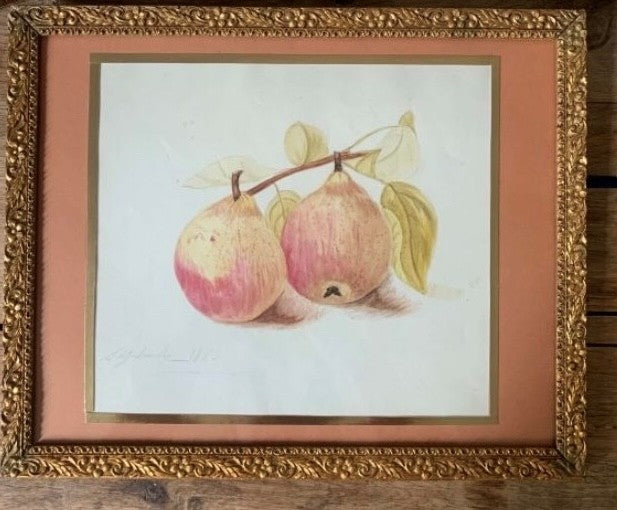 Pencil and Watercolor Tree Fruit and Berries