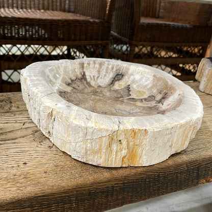 Petrified Bowl-Cream