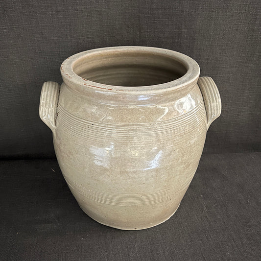Pot