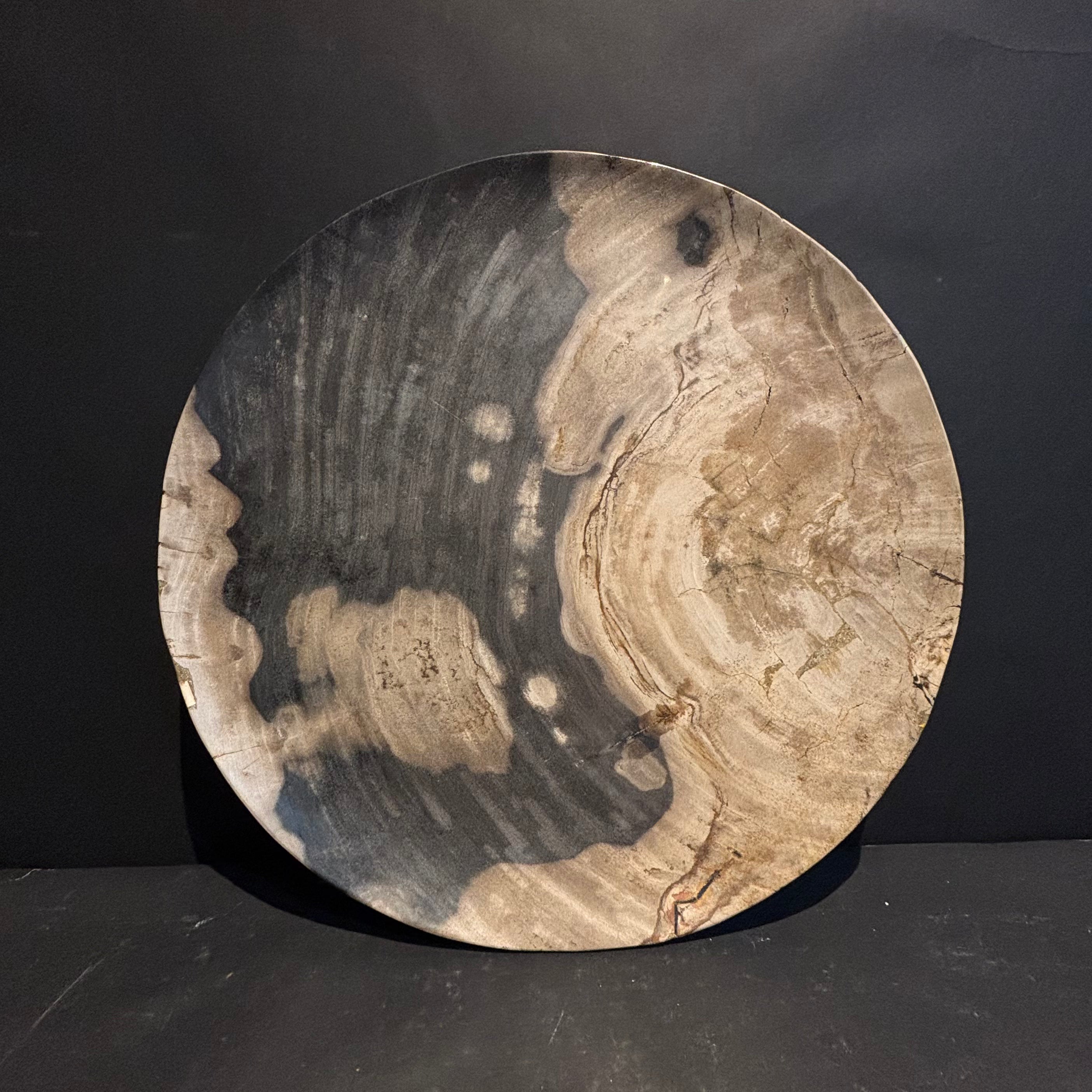 Petrified Wood Platter