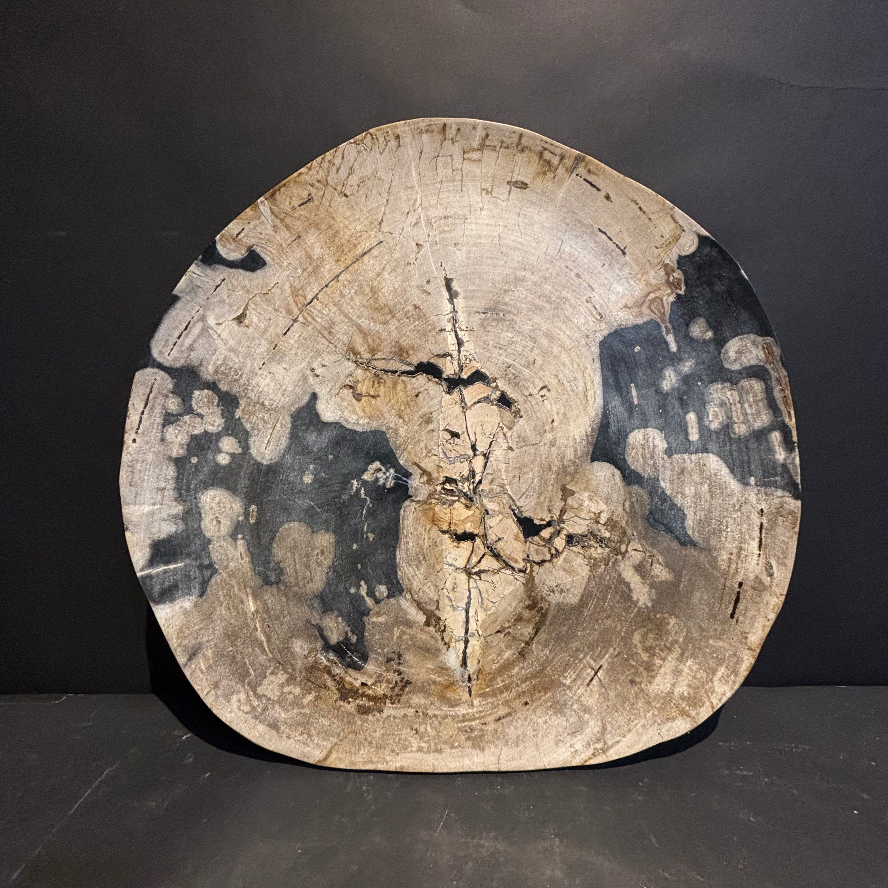 Petrified Wood Platter