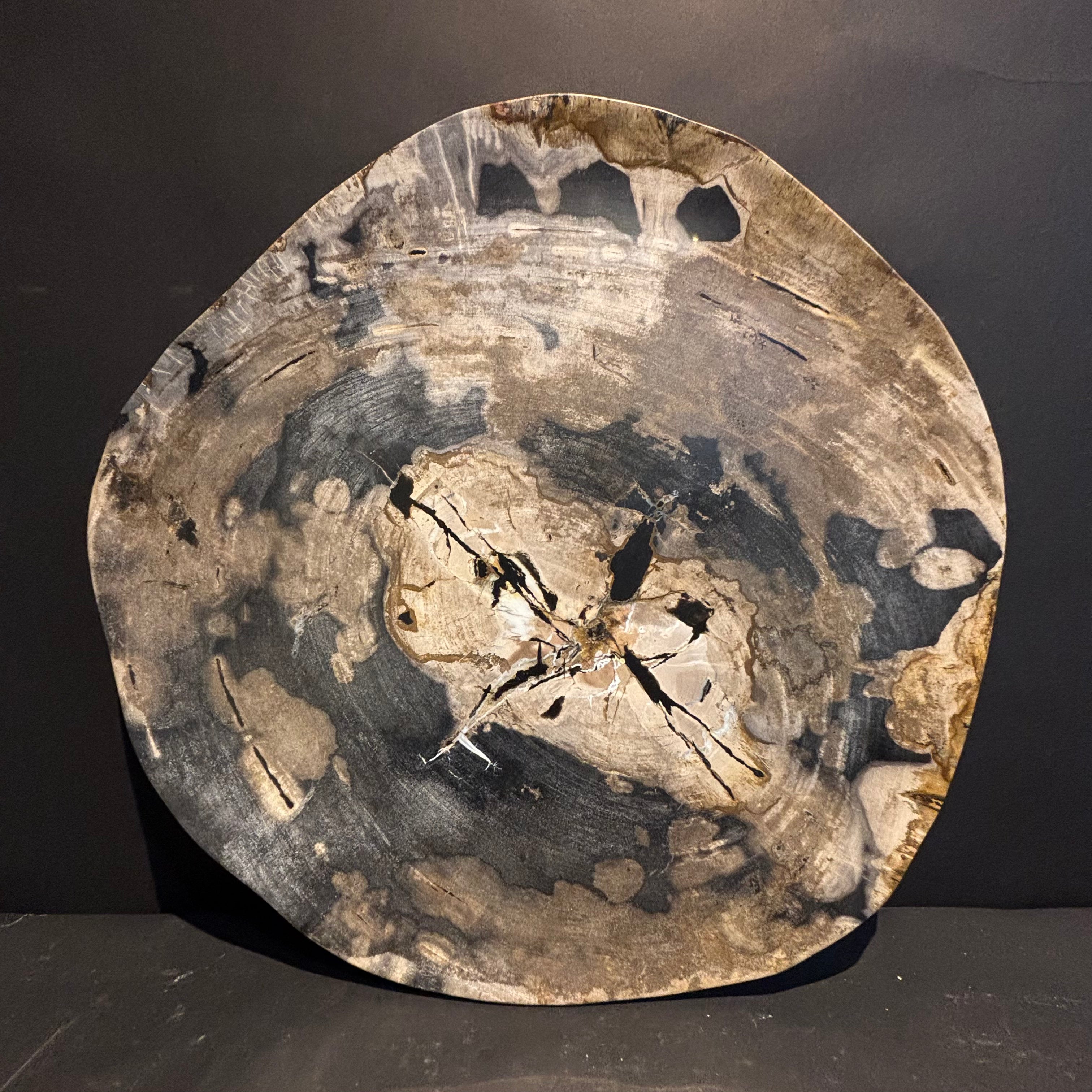 Petrified Wood Platter