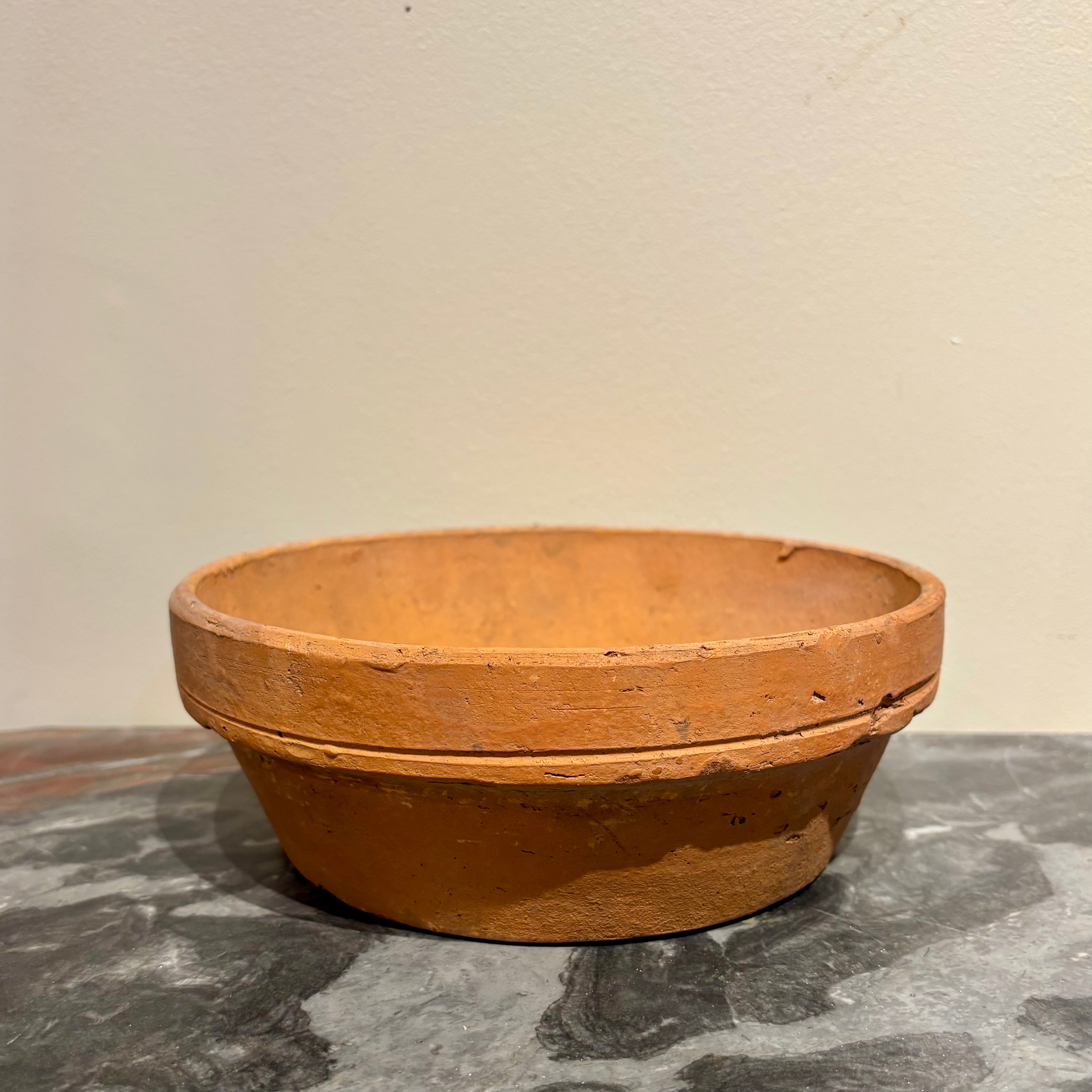 1900 Seeding Tray