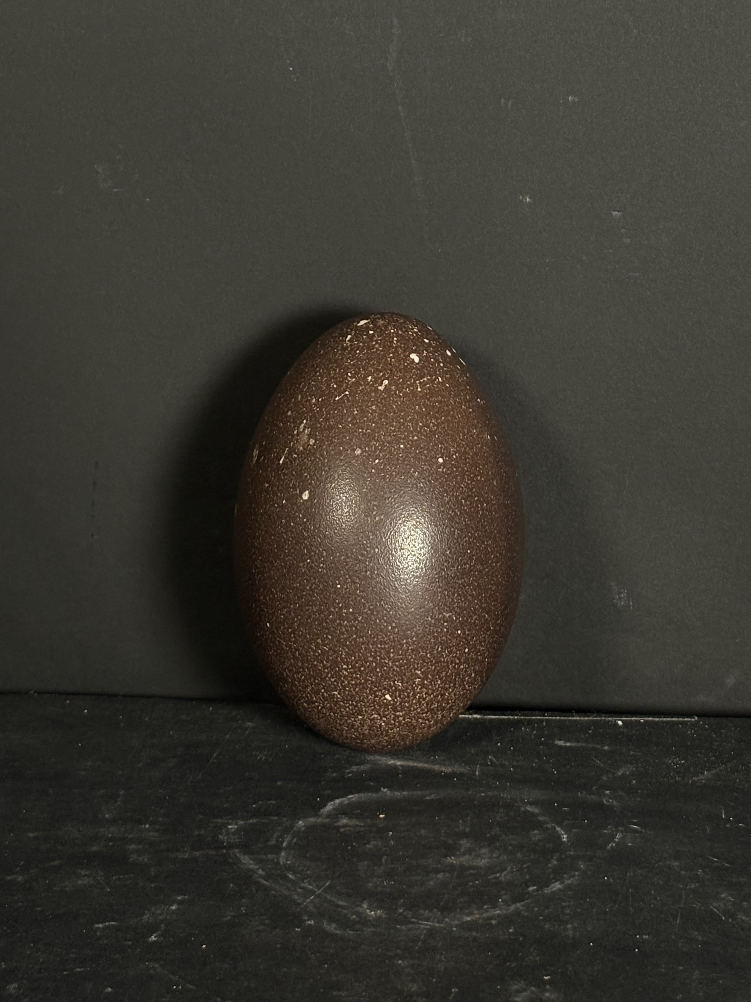 Blown Ostrich Egg