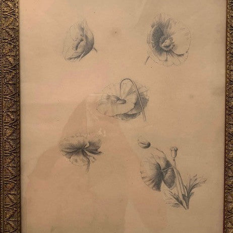 19th Century Pencil Drawing in Beautiful Antique Frame