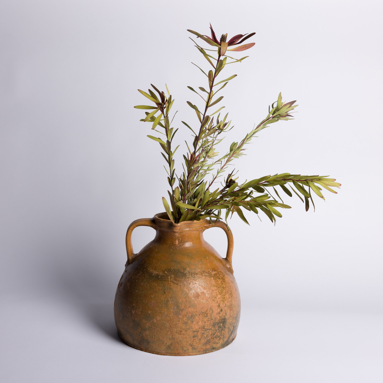 pots