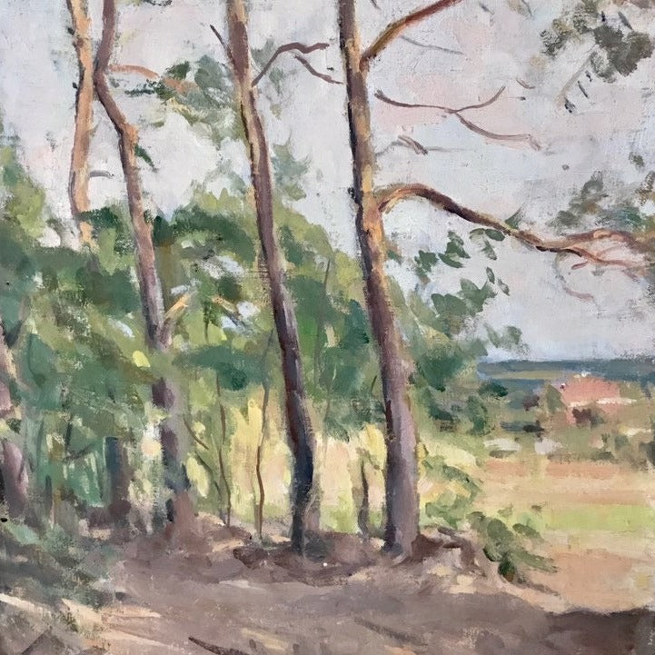 Oil on Canvas - Trees, Signed and framed