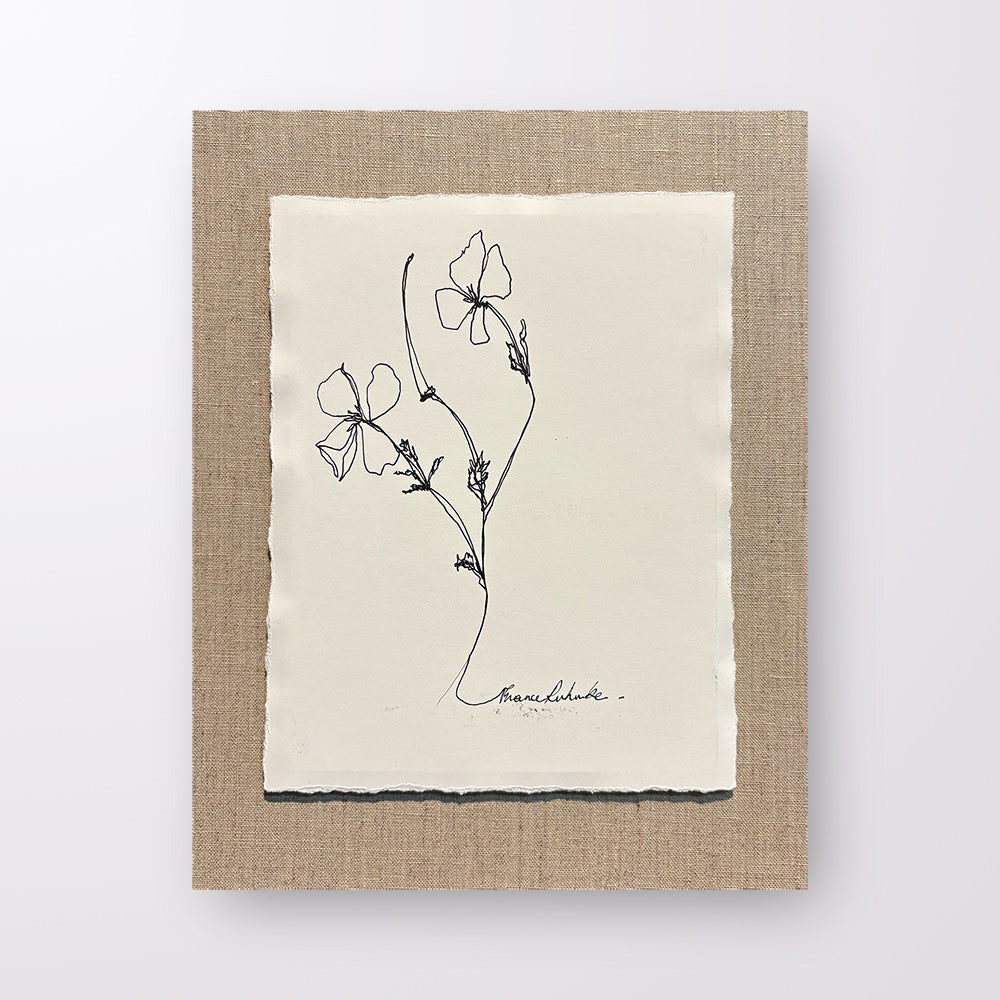 France Ruhnke - Black and White Flower Line Drawings