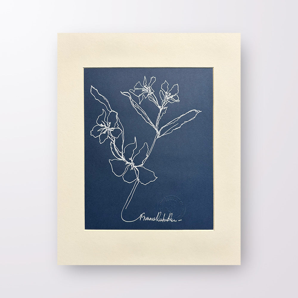 France Ruhnke - Black and White Flower Line Drawings