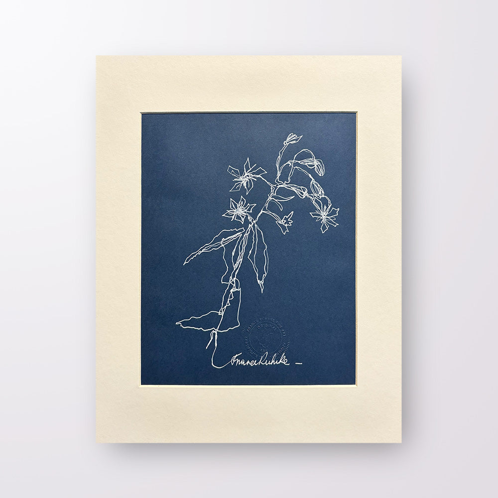 France Ruhnke - Black and White Flower Line Drawings