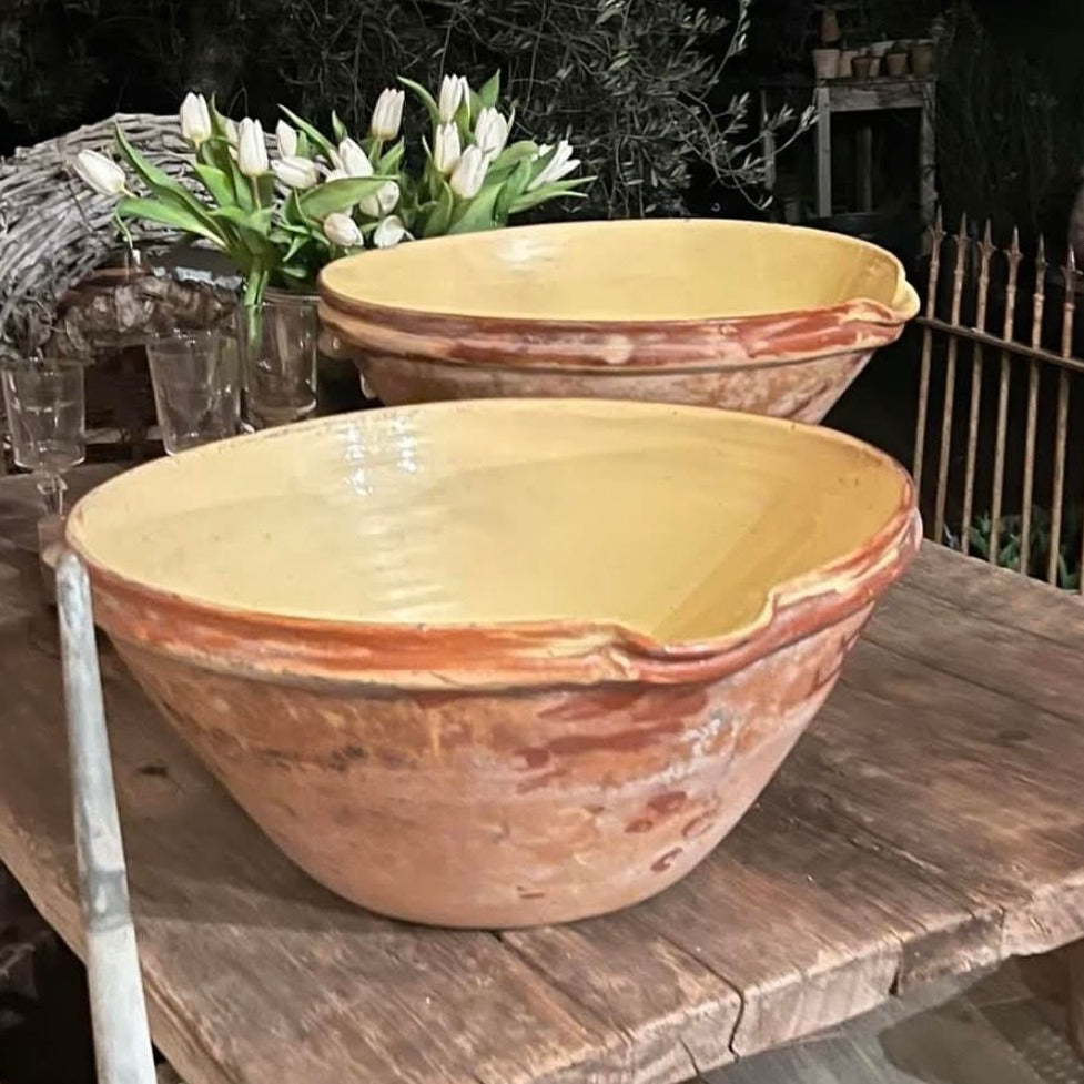 Two Golden Tians