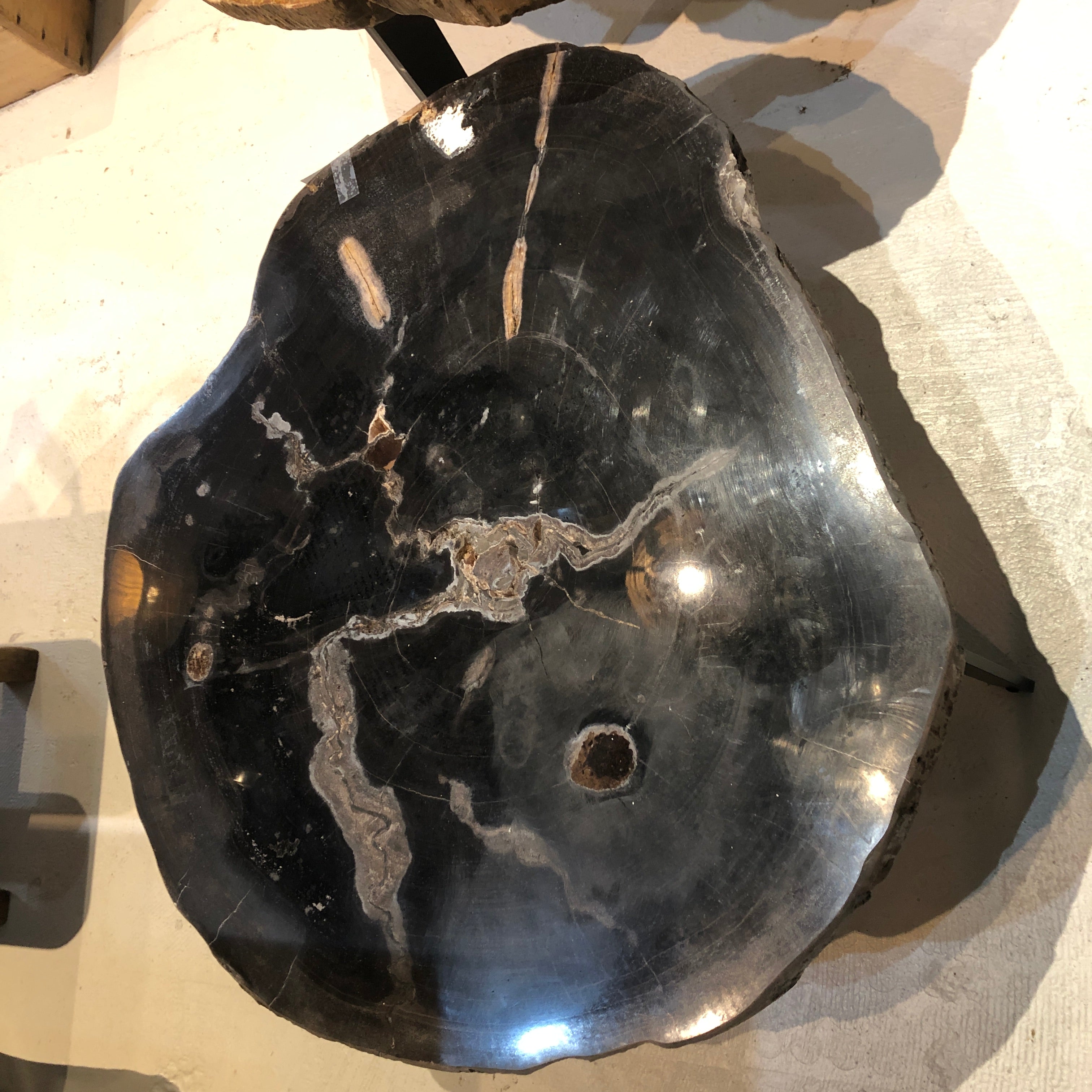 Petrified Wood Slab 1.5 Coffee Table