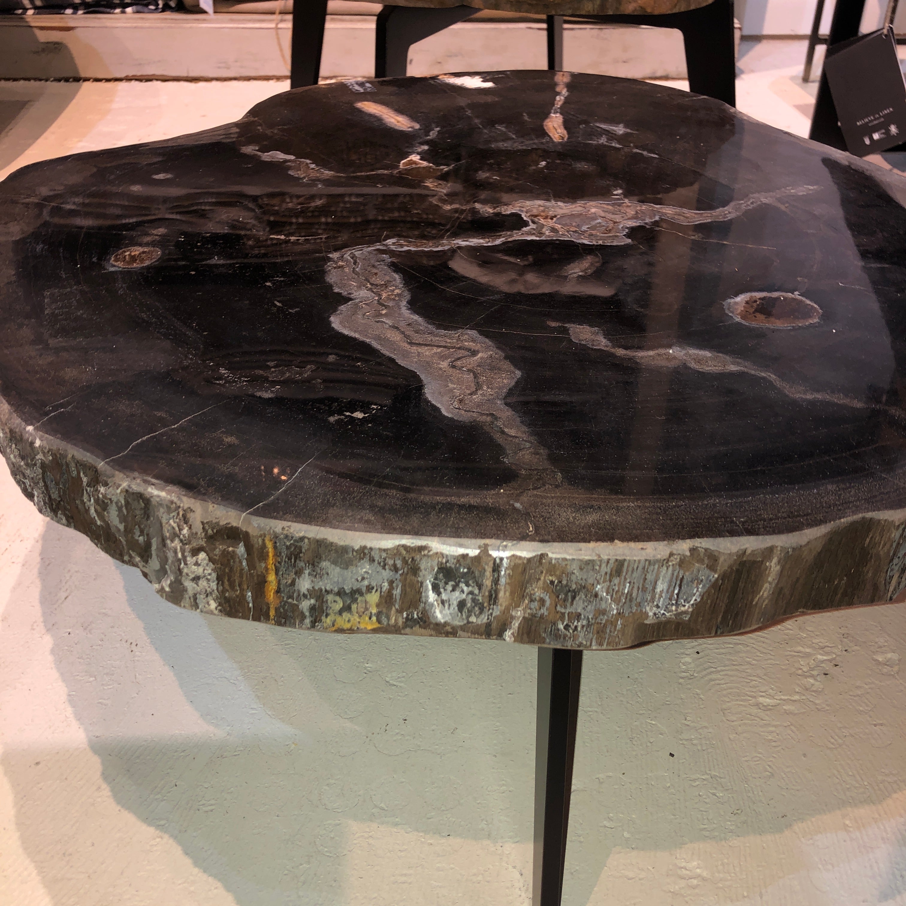 Petrified Wood Slab 1.5 Coffee Table