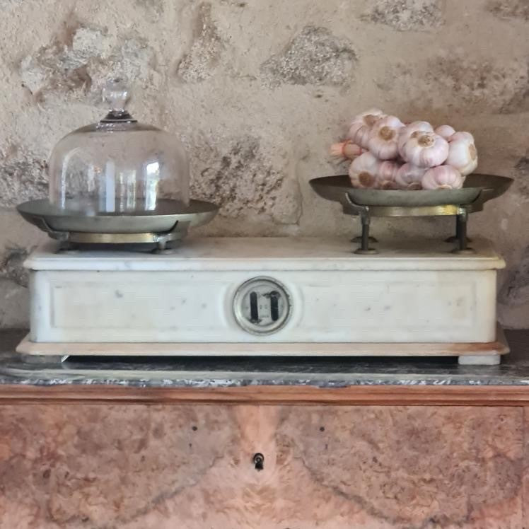 French Herbalist Marble Scale with Brass Plates
