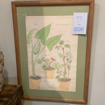 Pair of Framed Floral Watercolors