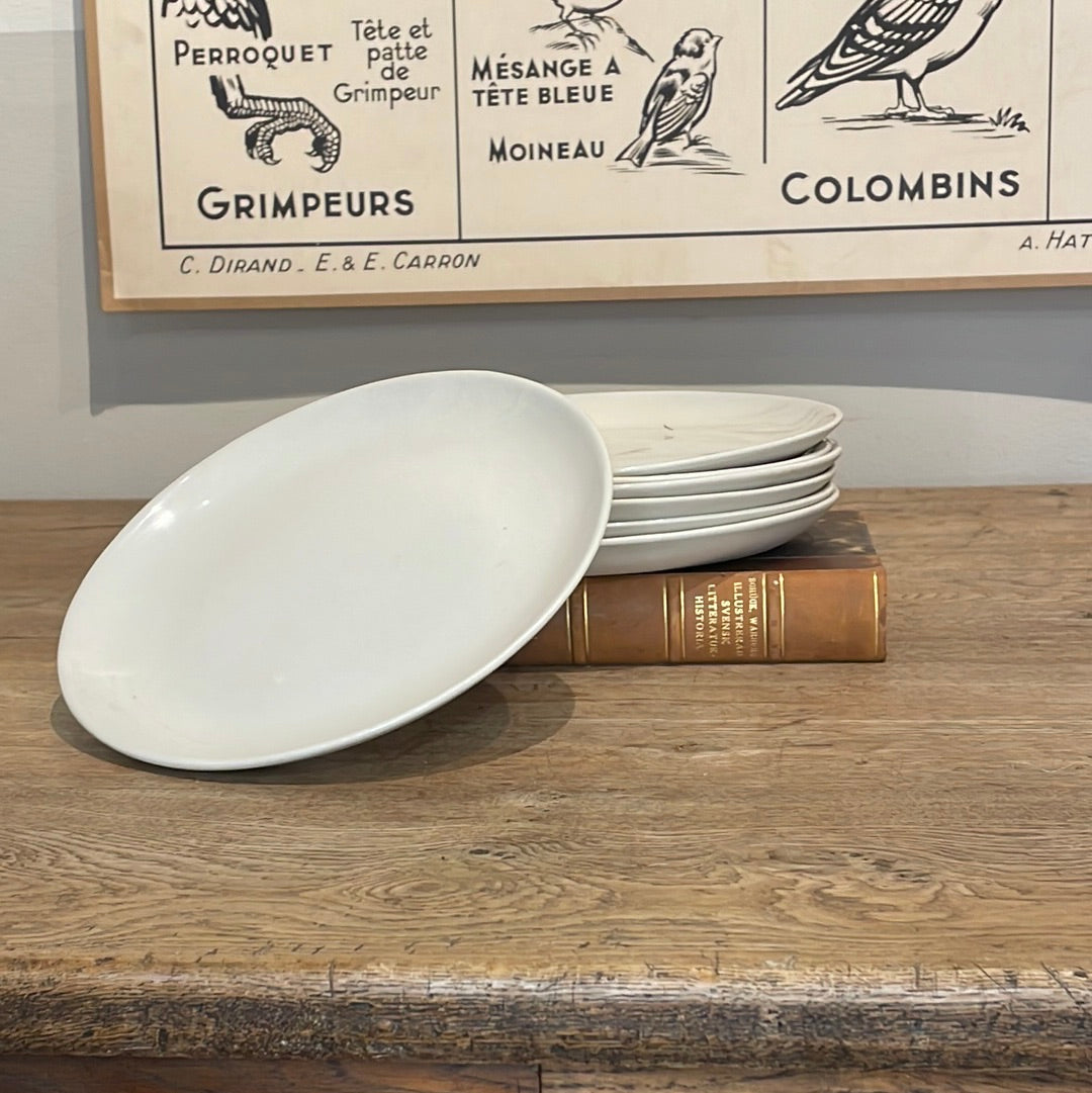 White Plate